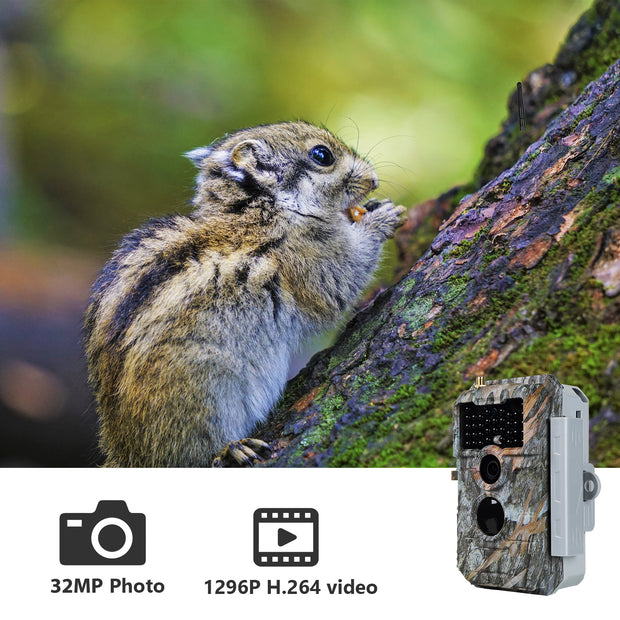 Wireless Bluetooth WiFi Game Trail Camera with 32MP 1296P Video Night Vision No Glow Motion Activated for Deer Wildlife Hunting, Home Security | W600