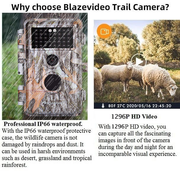 Game & Deer Hunting Trail Camera 32MP 1296P H.264 MP4 Video No Glow Night Vision Motion Activated IP66 Waterproof Photo & Video Model | A252