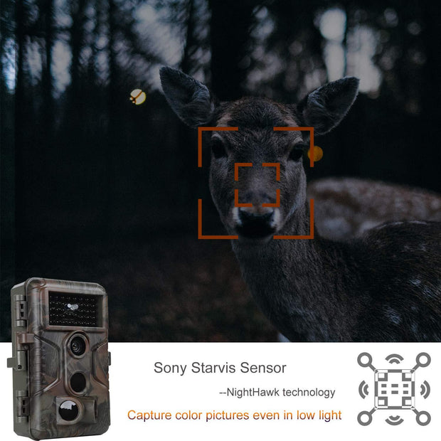 Game Trail Wildlife Cameras No Glow 24MP Photo 1296P H.264 MP4 Video 100ft Night Vision Motion Activated 0.1S Trigger Speed Waterproof Time Lapse.